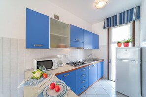 Fridge, microwave, stovetop, cookware/dishes/utensils