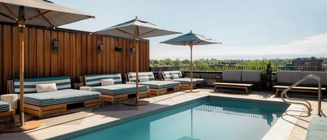 Outdoor pool, sun loungers