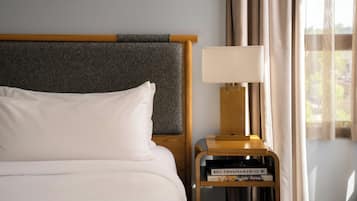 Room, 1 King Bed