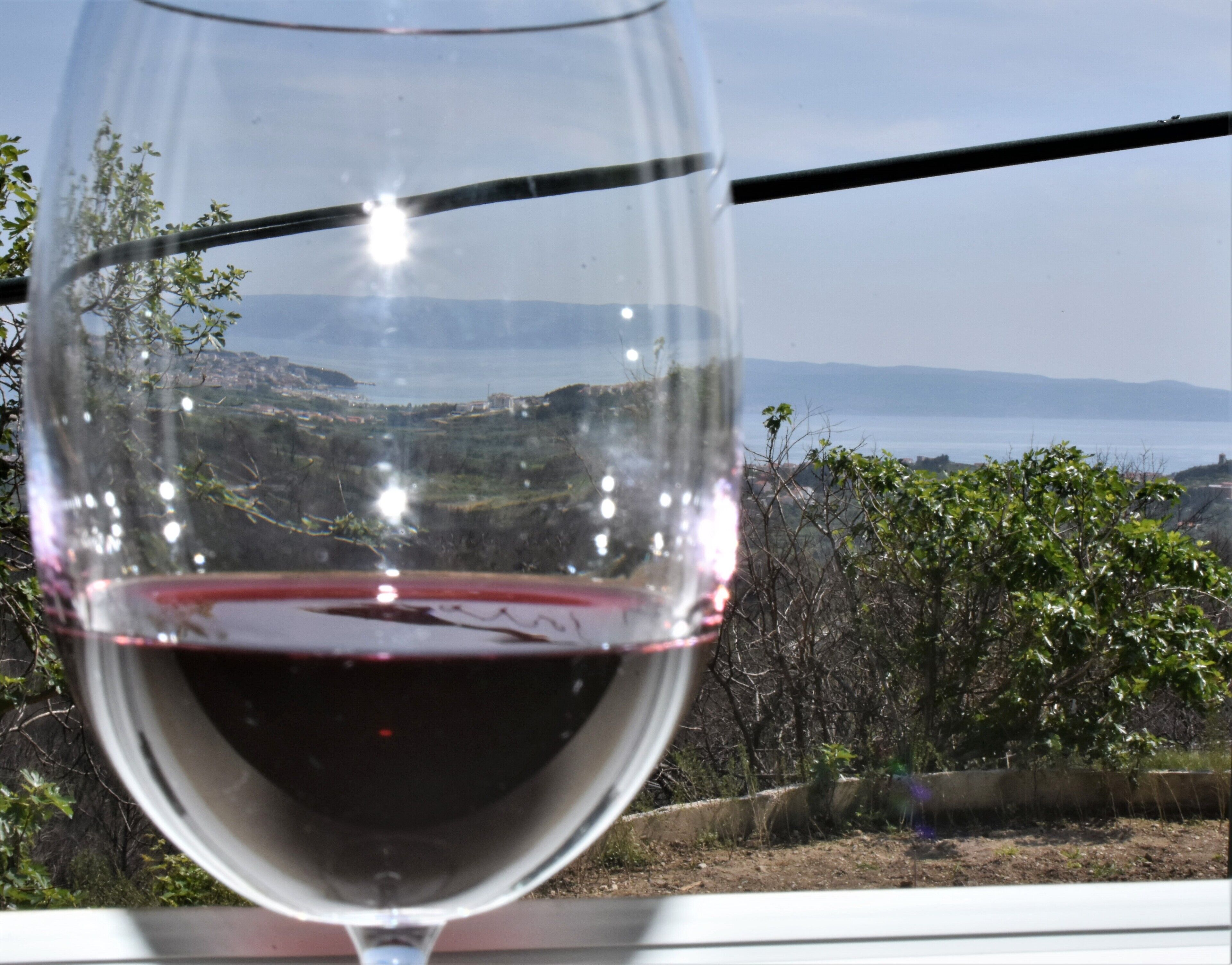 A wine glass with a view of a coastal landscape in the background.