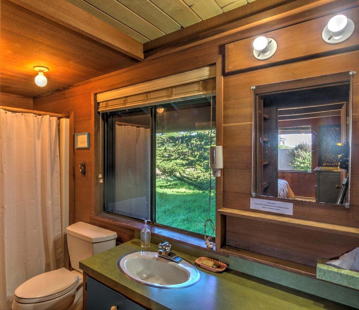 A bathroom with a toilet, sink, and a window with a view of greenery.