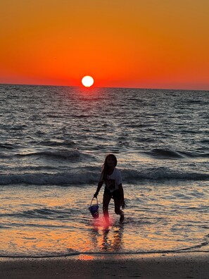 Beach nearby, sun-loungers, beach towels - Just minutes from our Beautiful Gulf Of Mexico Beaches & Stunning Sunsets !! (bradenton)