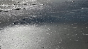 Une plage avec un ciel dégagé et une mer calme.