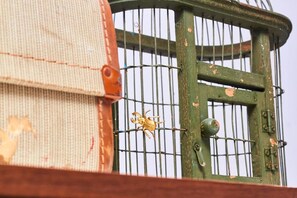 Una jaula metálica verde con un pequeño insecto en las barras.