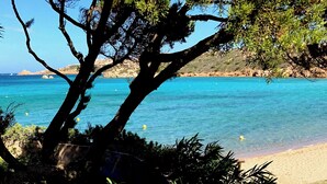 Escena costera con mar azul cristalino, una playa arenosa y un árbol en primer plano.