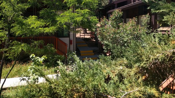 Un edificio a più piani con facciata in legno, immerso nel verde e circondato da alberi.