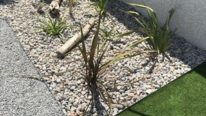 A garden with various plants and a wooden log. - Gîte de Leni (Torreilles)