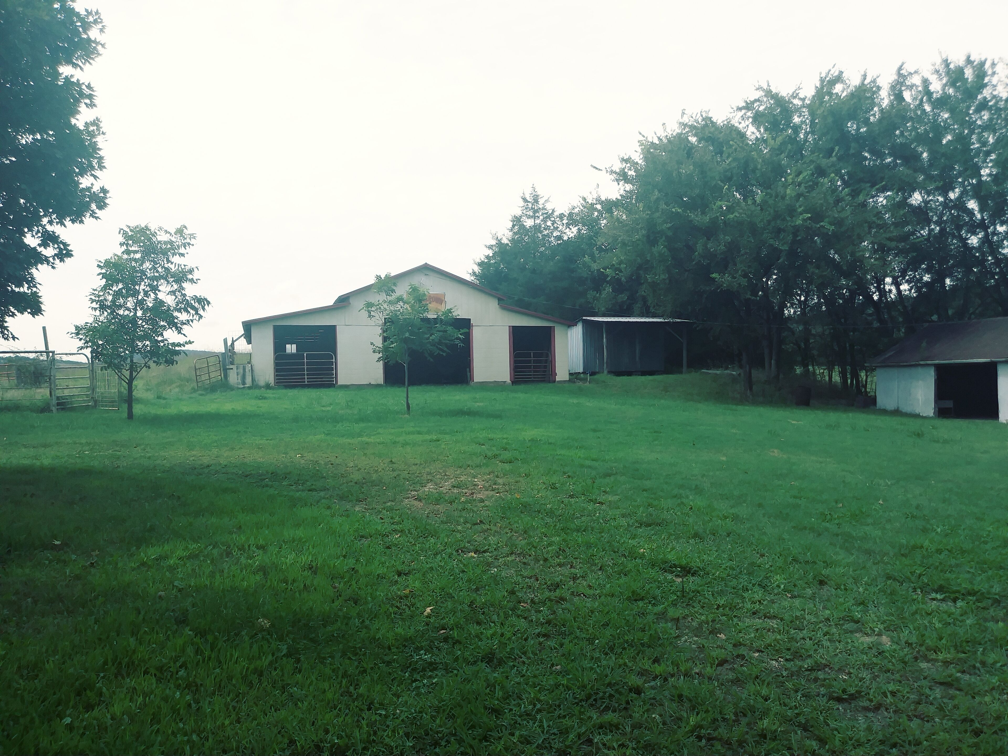 A grassy area with a building that has two doors and a garage.