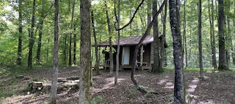 Homestead Cabin in the Ozarks, w/ a view!
