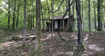 Homestead Cabin in the Ozarks, w/ a view!