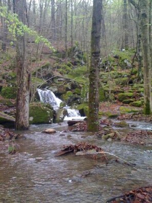 Property grounds - Homestead Cabin in the Ozarks, w/ a view! (Pettigrew)