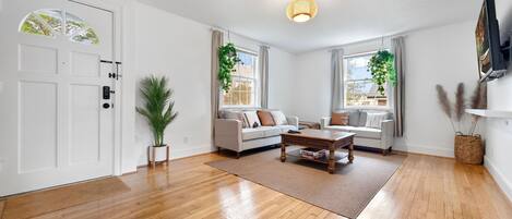 Fernseher, Videothek