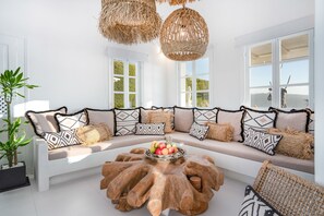 Smart TV, chimenea, reproductor de DVD y libros 