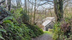 A narrow path leading to a rustic building surrounded by dense foliage and trees.