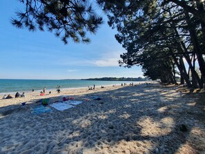 Nära stranden