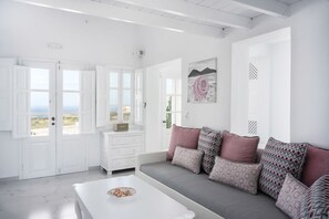 Smart TV, fireplace, DVD player, books