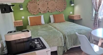 Discover the center of PORTUGAL and stay in a lovely farm - 80 km from Lisbon!