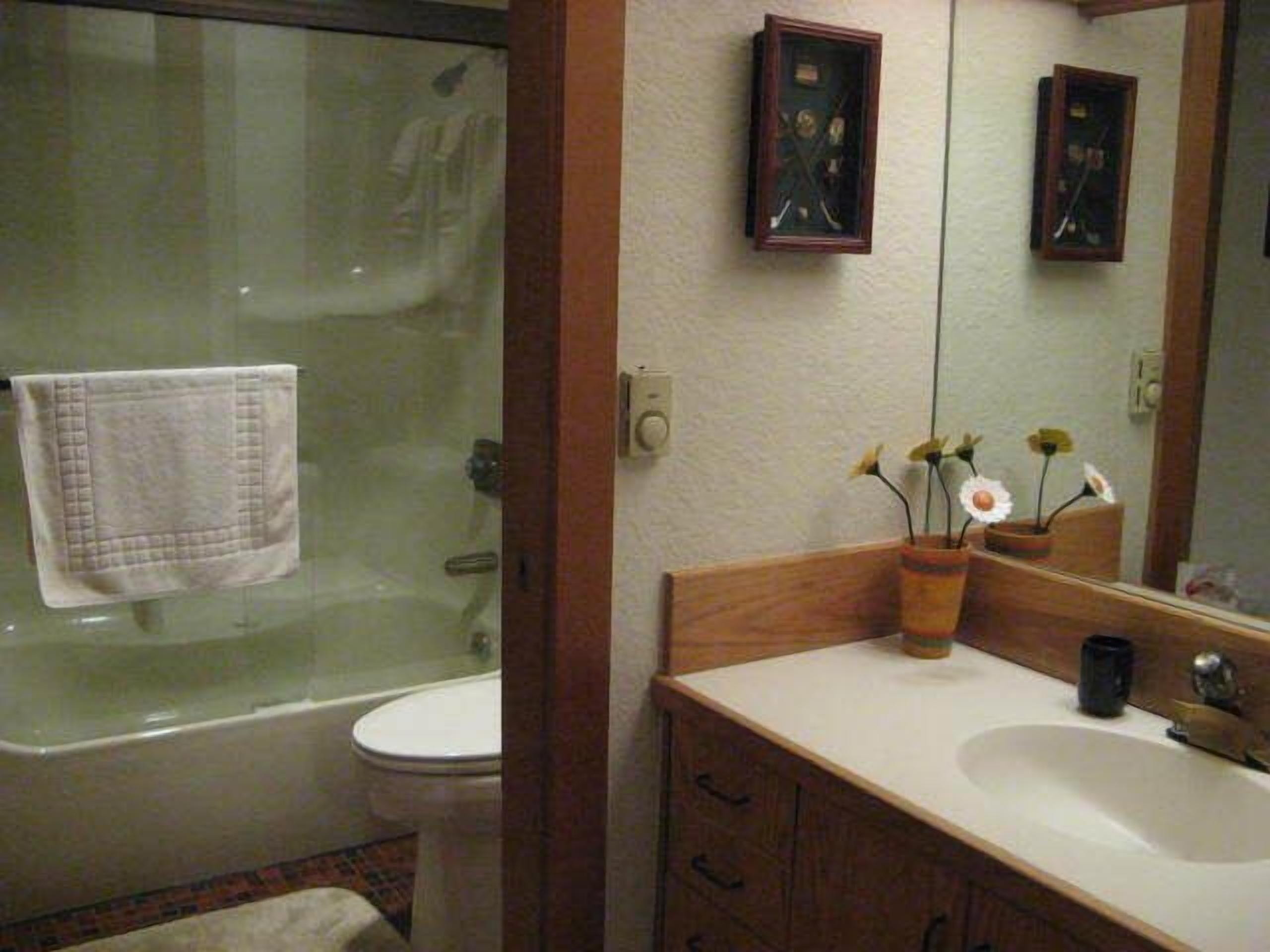 Hall Bath - Hall bathroom with tub/shower
