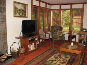 Smart TV, chimenea, reproductor de DVD y libros
