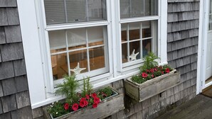 En byggnad med en skylt som visar ordet "CYGNET" ovanför fönstren. På fönsterbrädan finns blomlådor med röda blommor.