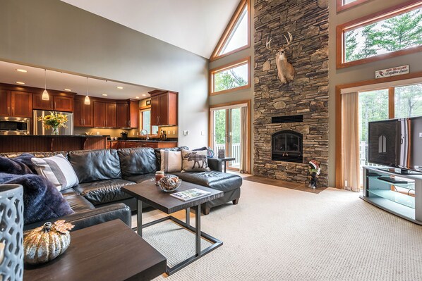 TV connectée, cheminée, jeux vidéo, lecteur de DVD