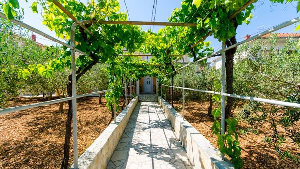 A vineyard pathway with grapevines overhead, leading to a building with a red roof. - Apartments Ivana (TR) -Studio with Terrace ( A2) (Trogir)