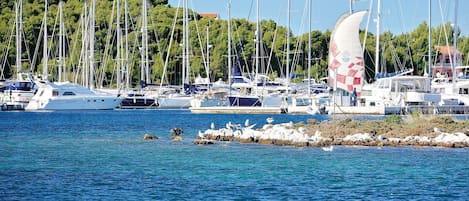 Marina