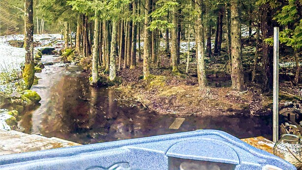 Een rivier die door een bos stroomt, met bomen en rotsen.