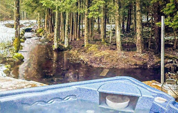 Baignoire à remous extérieure