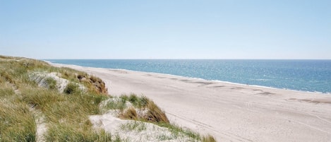 Perto da praia, prática de pesca
