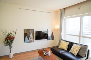 Fernseher