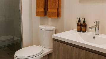 Shower, hair dryer, towels, soap