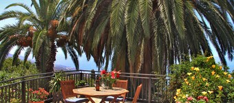 El Palmeral - El Palmeral