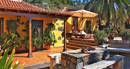 El Palmeral - El Palmeral