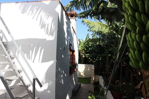 Property grounds - Casa Acosta - Acosta Casa (Tazacorte)