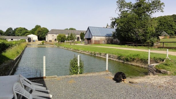 Un canal, avec un chien allongé sur le gravier qui le borde, entouré de verdure et de bâtiments agricoles.