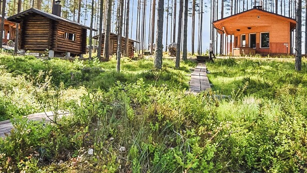 Eine Holzhütte, umgeben von hohen Bäumen und einer Rasenfläche mit einem hölzernen Weg, der dorthin führt.