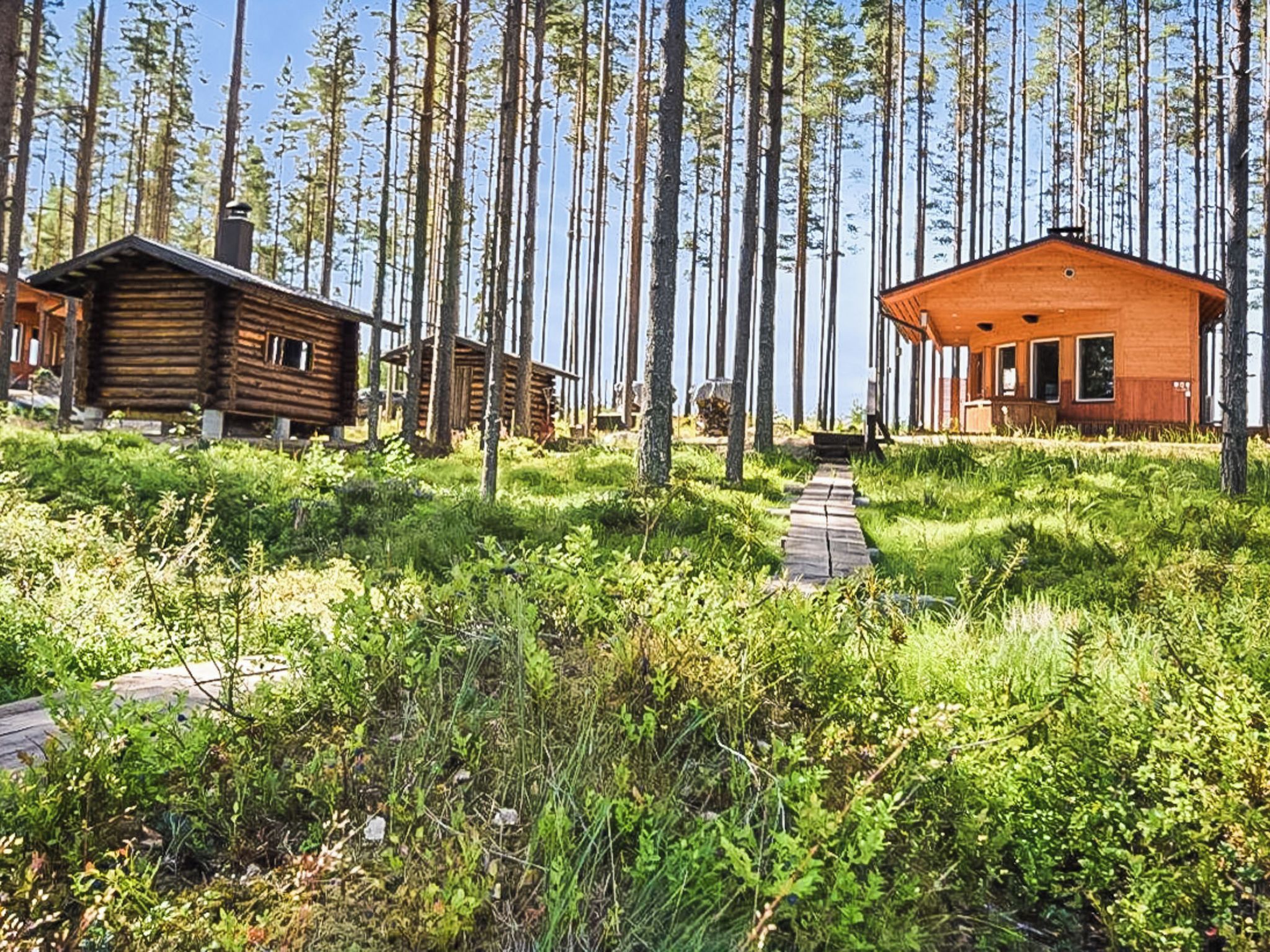Una cabaña de madera, rodeada de altos árboles y un área con césped, con un camino de madera que la lleva al frente.