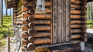 Ein rustikales Holzhaus mit Holztür, einem draußen abgestellten Fahrrad und einem kleinen Fenster mit Blick ins Freie.