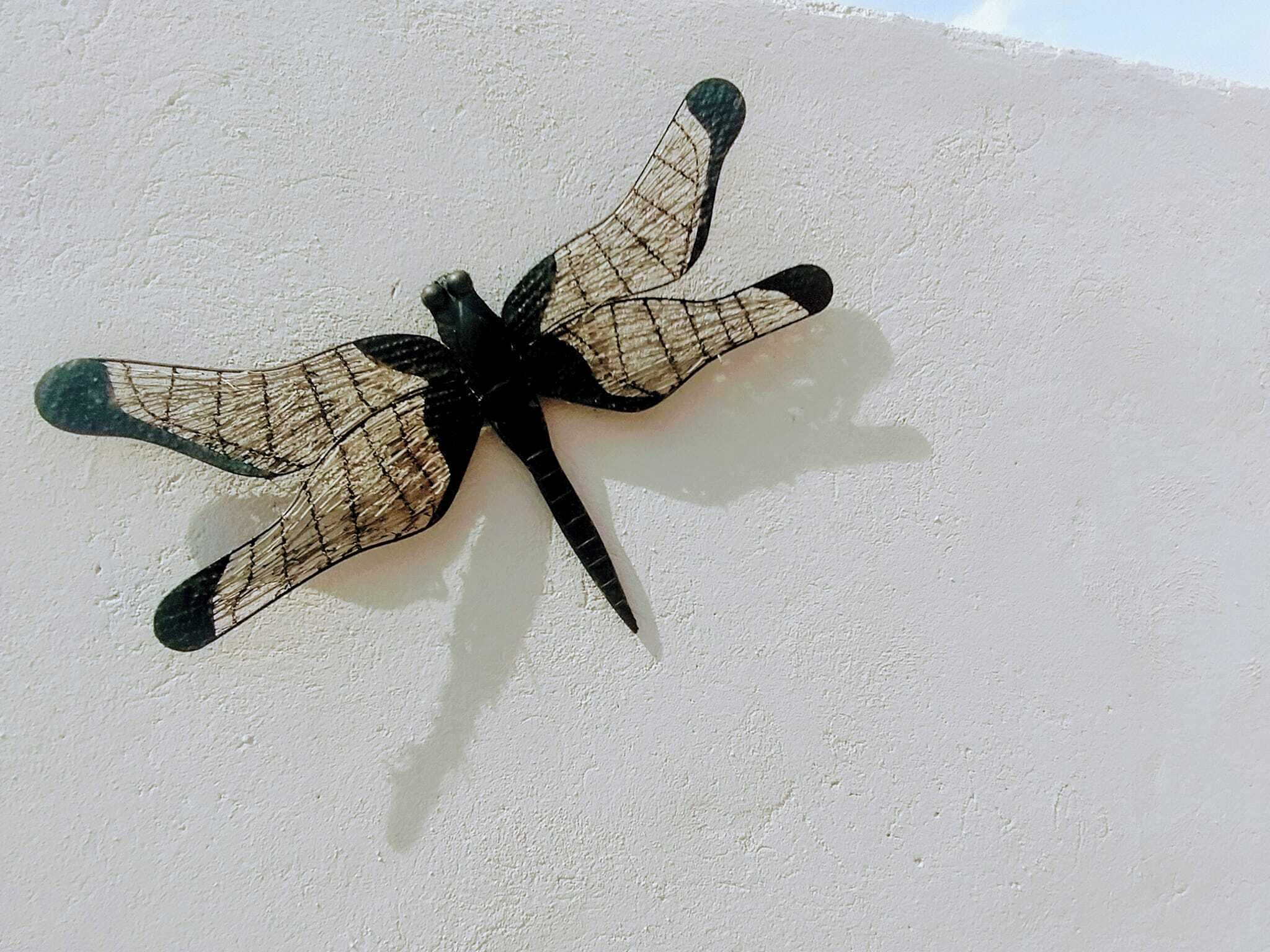 Een libellebeeldje op een effen muur.