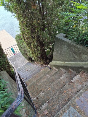 Un conjunto de escalones de piedra al aire libre que suben hacia un muro de concreto, rodeado de follaje.