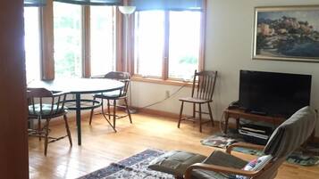TV, fireplace, DVD player, books