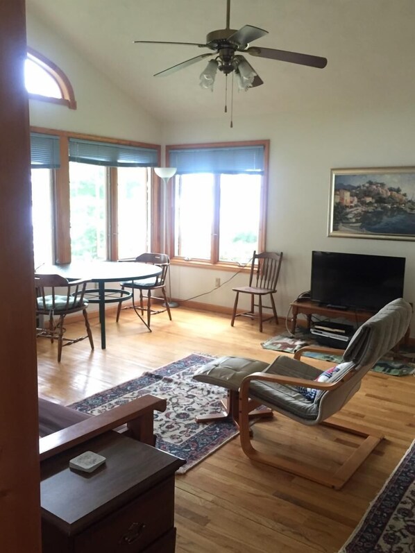 TV, fireplace, DVD player, books