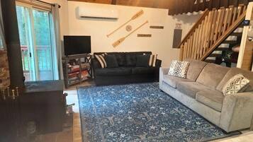 Smart TV, fireplace, DVD player, books