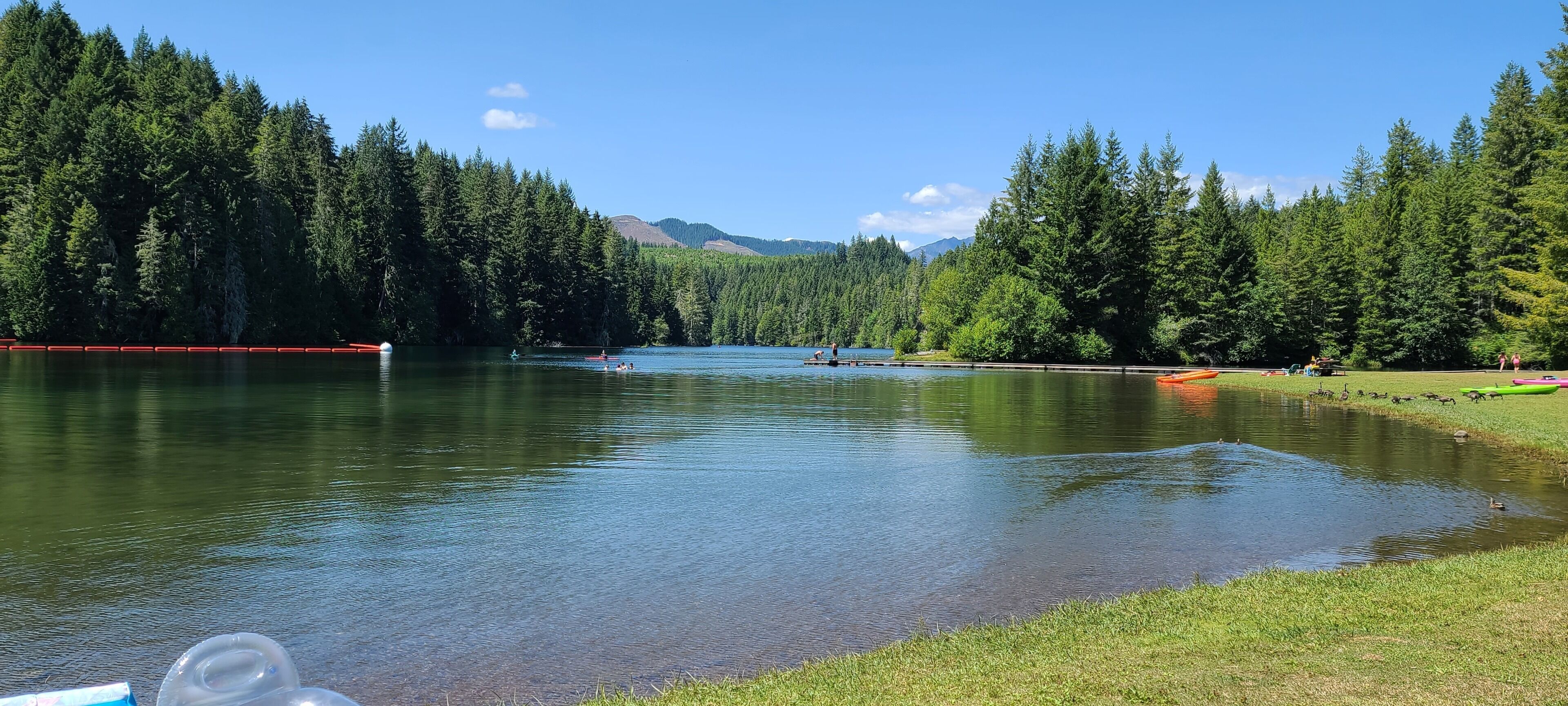 Un lago tranquilo rodeado de un bosque denso y montañas.
