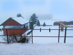 Àrea exterior de l'allotjament