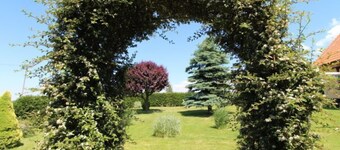 Rokytnice v Orlických horách by Interhome