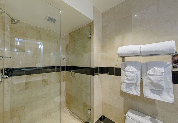 Secadora de cabello, bidet, toallas, jabón 