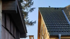 Uklassifisert bilde, 5 av 18, knapp
