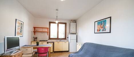 A compact living space with a kitchenette, a dining area, and a sleeping area.